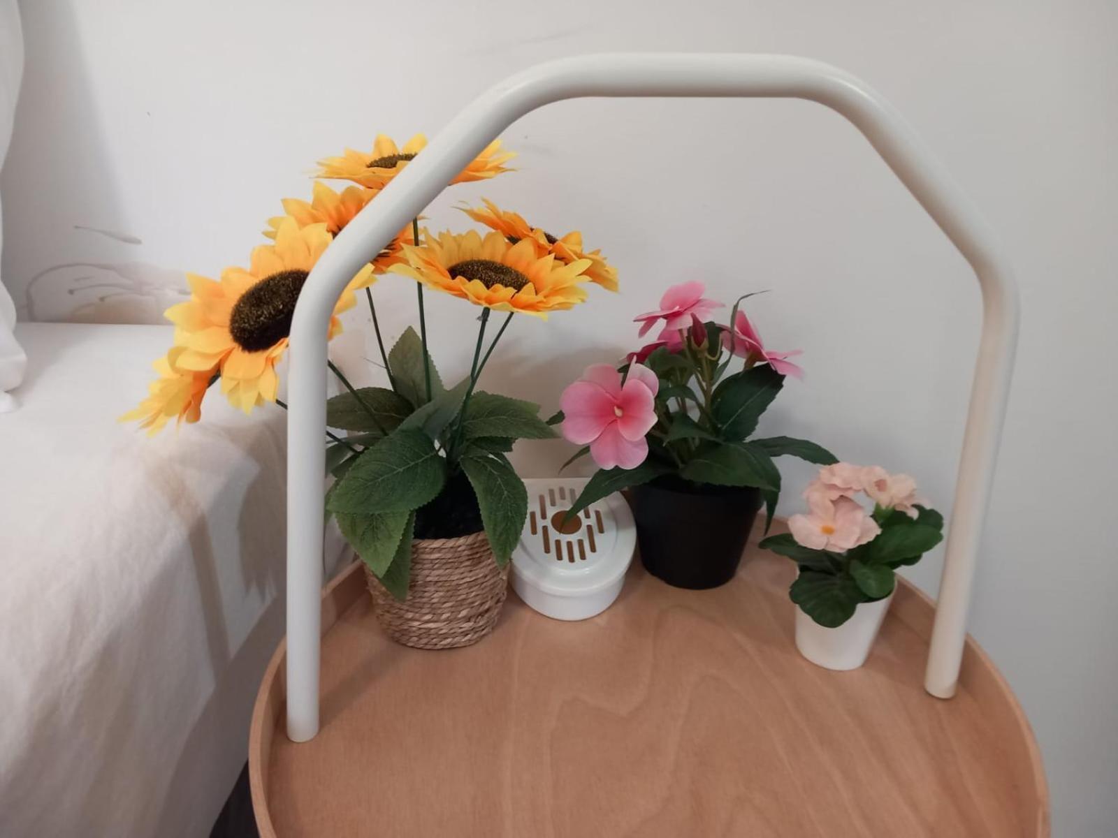 Travelr'S Home — Photos 3